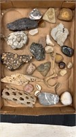 Misc small drift wood, rocks, arrow head, fossils