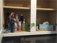 cleaners & misc items