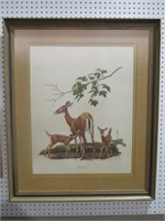 RAY HARM SIGNED WHITETAIL DEER PRINT