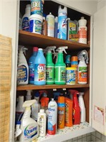 Cleaning products in cabinet