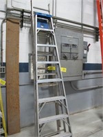 Warner 16' Aluminum Extension Ladder,
