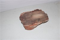 Petrified wood 2