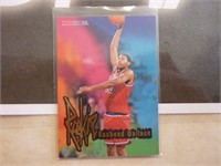 1996 NBA Hoops Rasheed Wallace Rookie Card 290