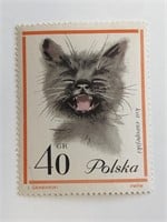 1964 Cat Stamp - Poland