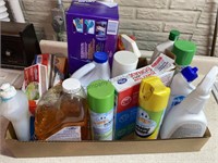 Cleaning supplies, soap & matches
