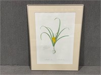 Pretty Framed Flower Print