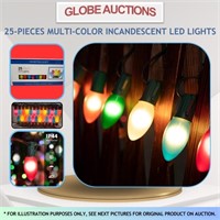 25-PIECES INCANDESCENT LED LIGHTS (MULTI-COLOR)