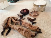 TAXIDERMY ANIMALS TO WEAR, 2 GROUPS OF TAILS, FUR