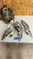 Pigeon decoys in backpack