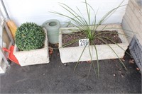 (2) Planters with Plant