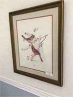 Charles Spaulding Cardinal framed print 23 in x
