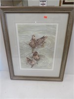 Duck print, V. Waring, 106/400, 19" x 24"
