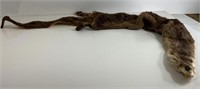 River Otter Fur Pelt