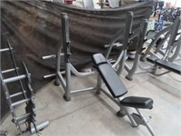 Life Fitness Incline Bench Press