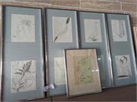 5 framed hand drawn pictures