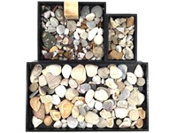 Raw Rock Specimens, Shells & Polished Stones