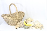 Large Basket of Natural Seashells