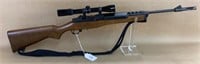 RUGER Ranch Rifle 22 w Bushnell Scope bn486