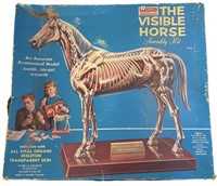 Vintage Visible Horse Anatomy Kit