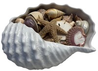 Seashell Conch Porcelain Bowl W/Shells