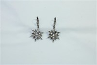 Pair of Star Anise and CZ Earrings