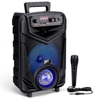 WF5925  SELLCLB Karaoke Speaker System