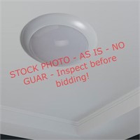 Temperature 1-Light White LED Flush Mount Light