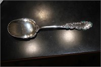 Enamel Sterling Serving Spoon