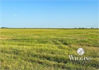160 +/- Acres | Productive Cropland, Goltry, OK