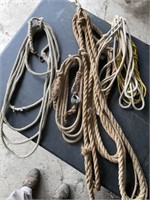 Assorted ropes