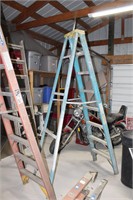 Werner blue 8 ft. Ladder