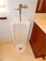Kohler Urinal  :)