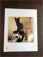 Cat on Sull photo print as pictured mounted
