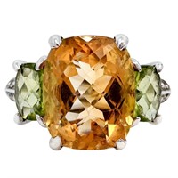 4.5 CTW Multi-Gemstone Trilogy Ring SS