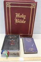 HARDCOVER HOLLY BIBLE & MORE