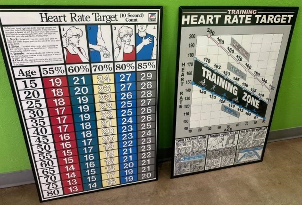 (2) Heart Rate/Pulse Informational Posters