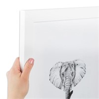 ArtToFrames 17x21 inch Satin White Frame Picture