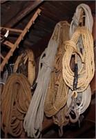 ropes - 7 total, most natural; 1 has hook & 2 are