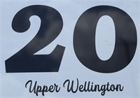 20 Upper Wellington St Simcoe