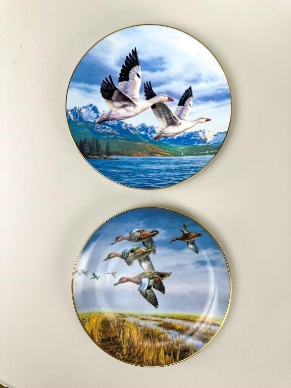 (2) Painted Collectors Plates