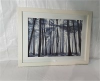 FRAMED PRINT - TREES - 44" X 34"