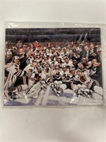 NHL Chicago Blackhawks 2010 Team Photo Stanley