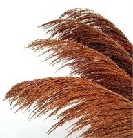 PENEPICO BURNT ORANGE PAMPAS GRASS TALL, 8PCS