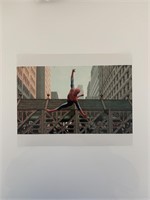 Spider-Man 8x10 photo unsigned