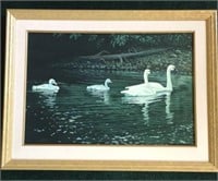Swan Print by Jim Wilson