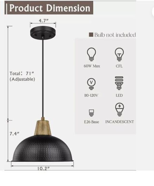 $29 FEMILA  Pendant Lights Black Metal Finish10"