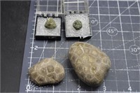 Pyrites - Illinois - rare & Petoskey Stones