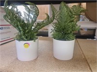 2 artificial plants