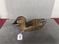 Green Winged Teal: