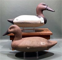 PR. JOHN TIEDER CANVASBACKS